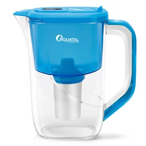 Image of Glass Water Pitcher With Filter