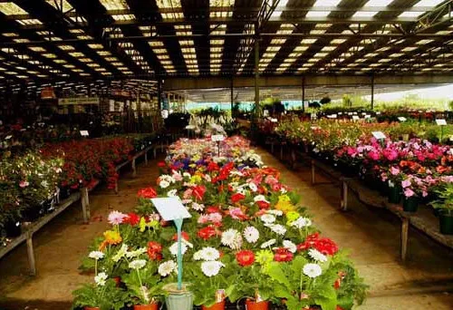 led grow light 5.jpg