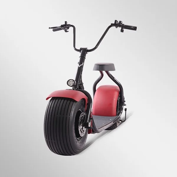 Customized Professional 1000w Citycoco Electric Scooter With The Best