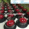2017 new products preserved flower fresh stabilized rose in glass dome eternal roses flower