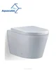 Back to wall bathroom one piece concealed tank wc toilet (ACT5257B)