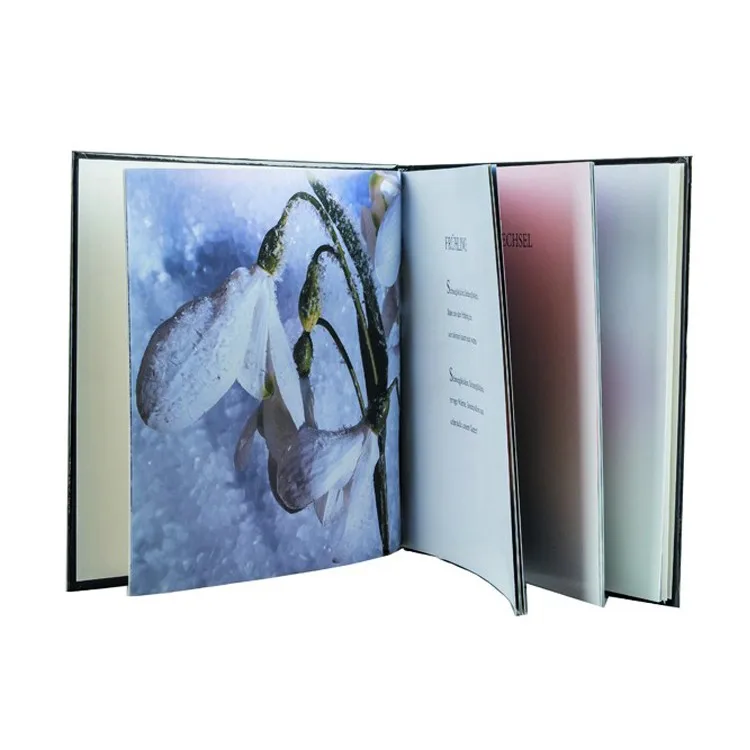 Cheapest Hardcover Full Color Book Printing,Hard Bound Book Printing