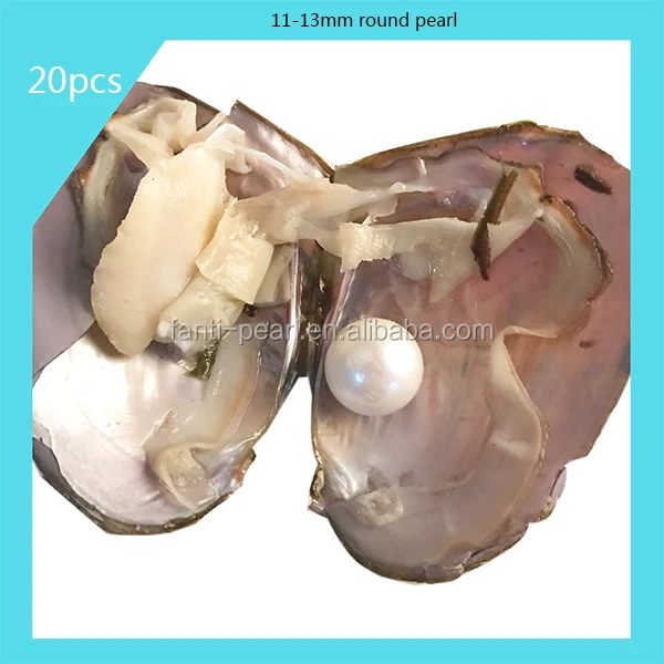 

11-13mm big round pearl in freshwater pearls oyster shell wholesale