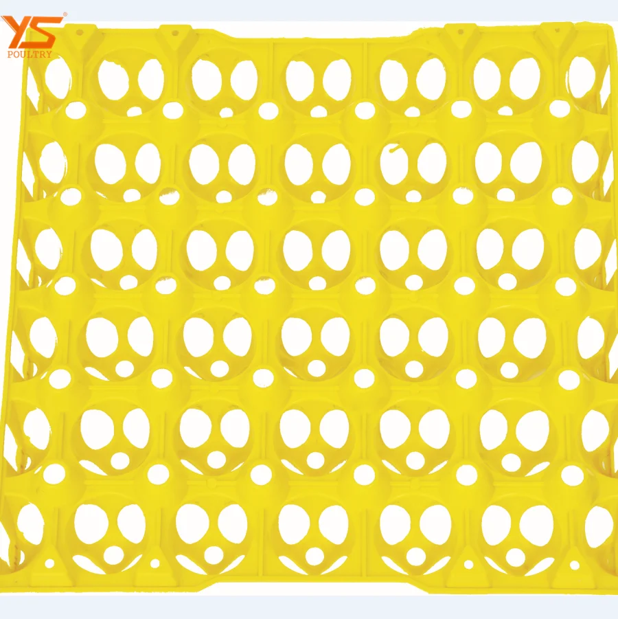 
Wholesale 30 Cells Plastic Eco-Friendly Egg Tray 