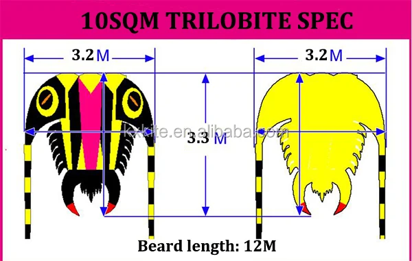 size spec10sqm trilobite.jpg