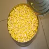 /product-detail/tinned-sweet-corn-in-sweet-water-eoe-60697615110.html