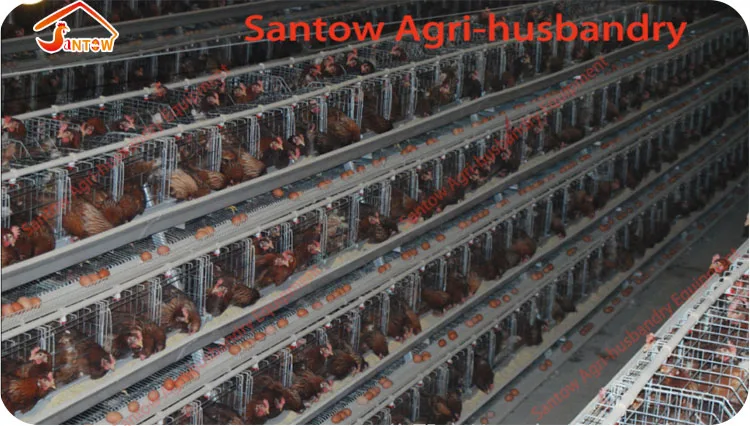 Hot Galvanized Chicken Poultry Cages Cold Galvanized Chicken Layer Cage Best Quality For Sale Nigeria Africa