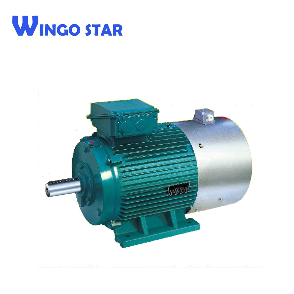 three phase motor.jpg