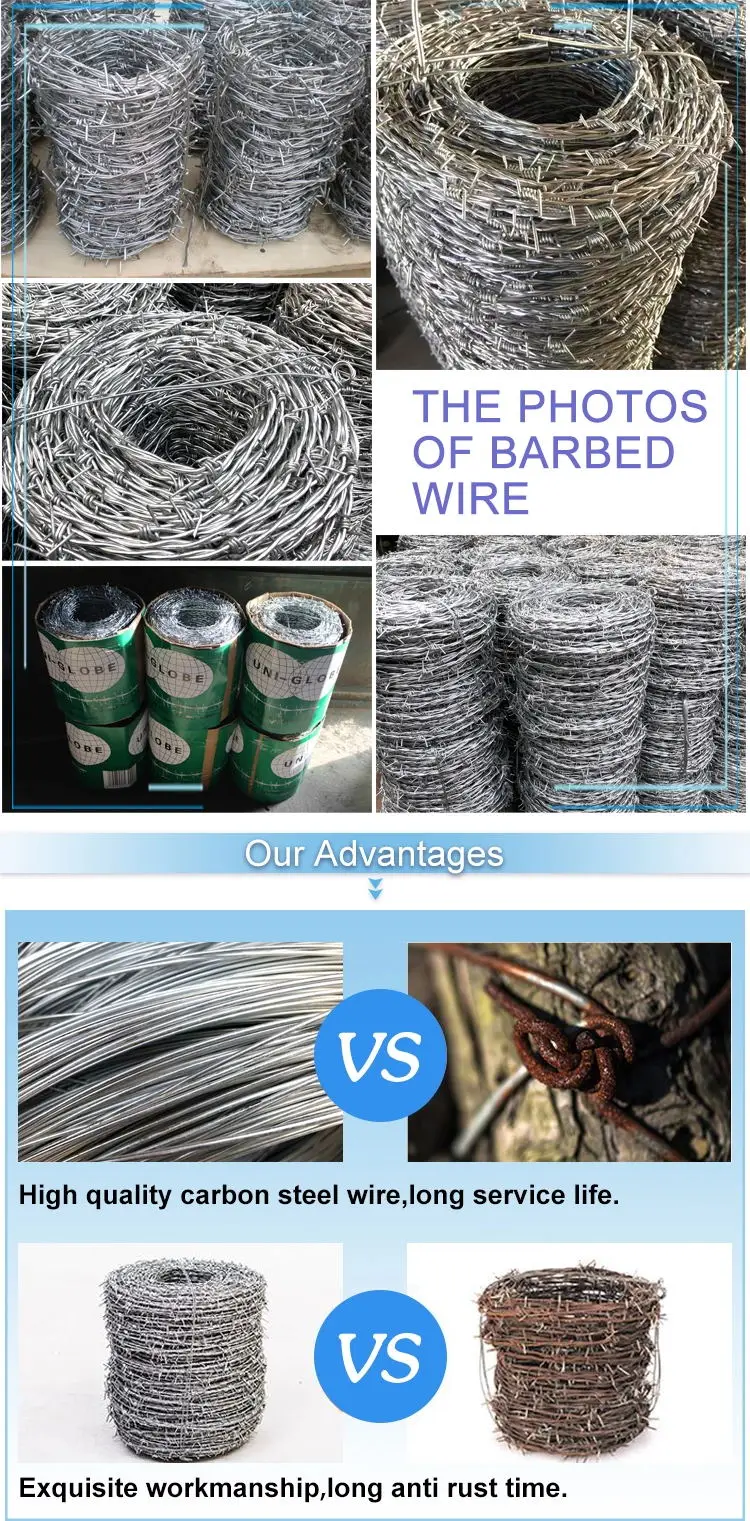 Barbed wire detai