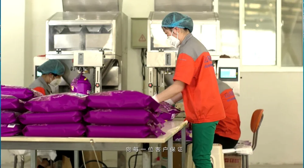 Oem Detergent Factory Wholesale Bulk Laundry Washing Detergent Powder