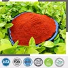 /product-detail/chili-powder-jalapeno-fresh-cherry-peppers-60688006478.html