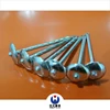 WEFSUN Wholesale Iron Nails /Galvanized Steel Nails /Roofing Nails