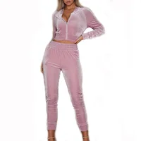 

2019 Hot customized women tracksuit cropped top velour tracksuit wholesale