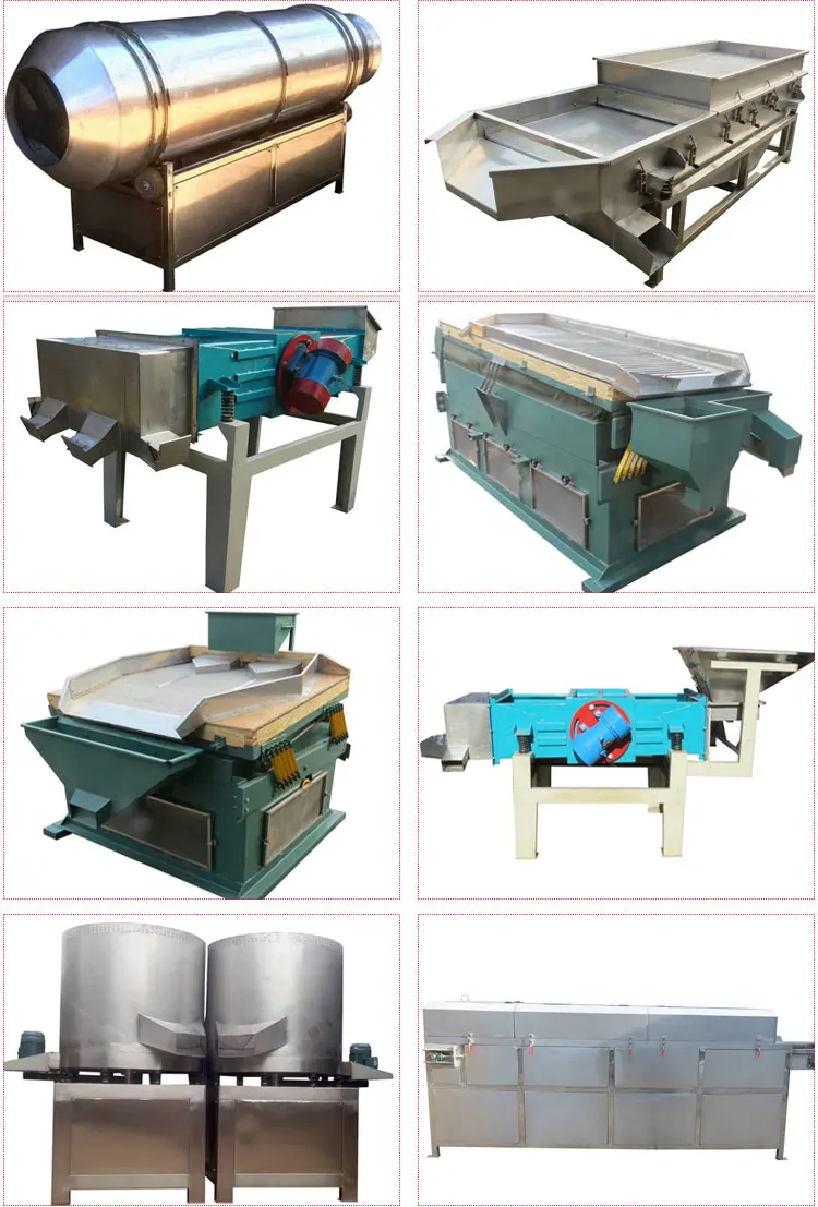 grapes production line (5).jpg