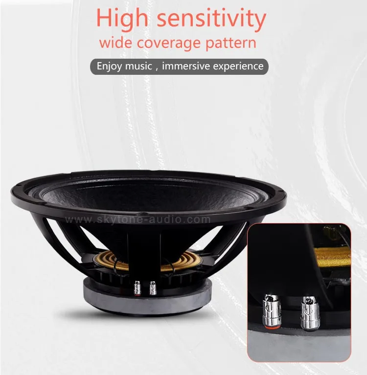 18PZB100 18 woofer -2