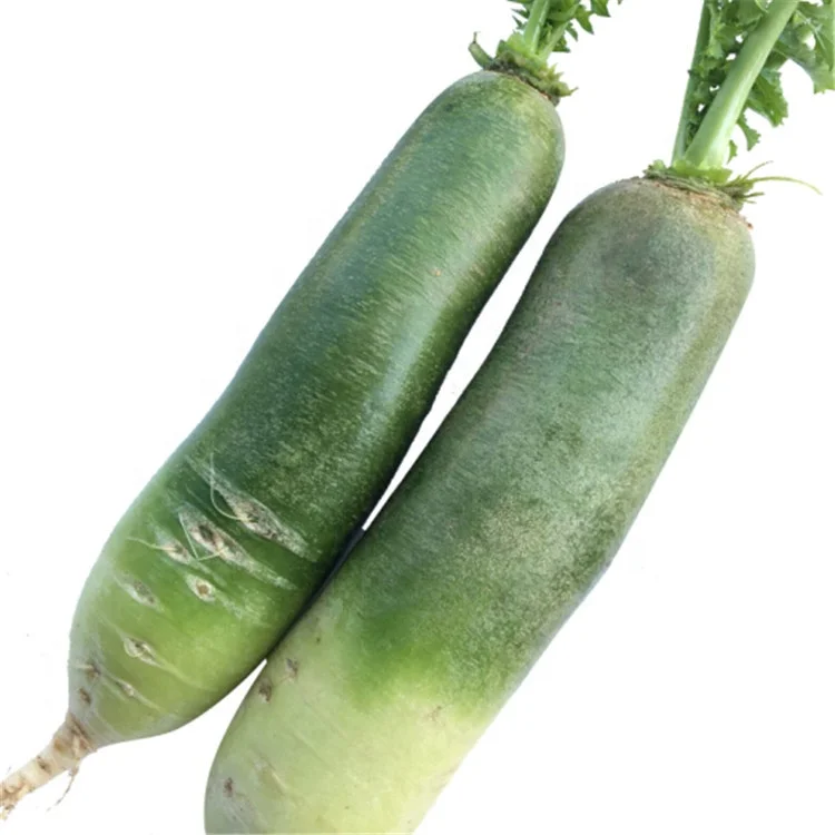 Зеленый длинный овощ
