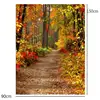 0.9X1.5m Photography Vinyl Background Autumn Fall Deciduous Forest backdrop