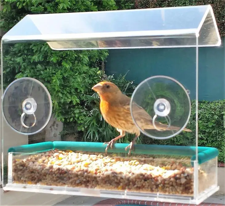 Hot Sale Custom Clear Acrylic Bird Feeder Bird Cage Canary With