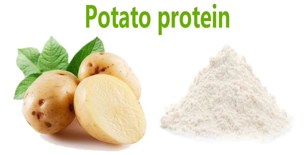 Potato Protein Market