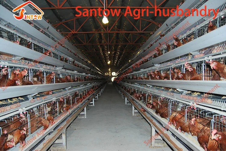 Automatic chicken cages hot galvanized poultry cage cheap price egg layers cage design for farm design