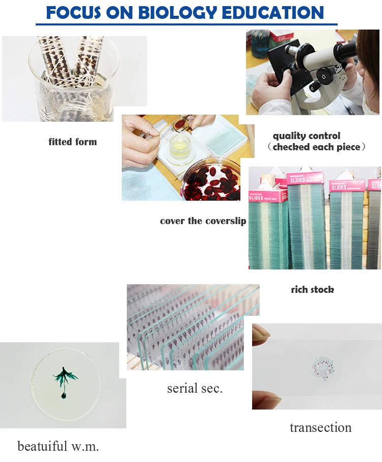 Fixed items  25pieces for university biology lab chick embryo prepared sldies