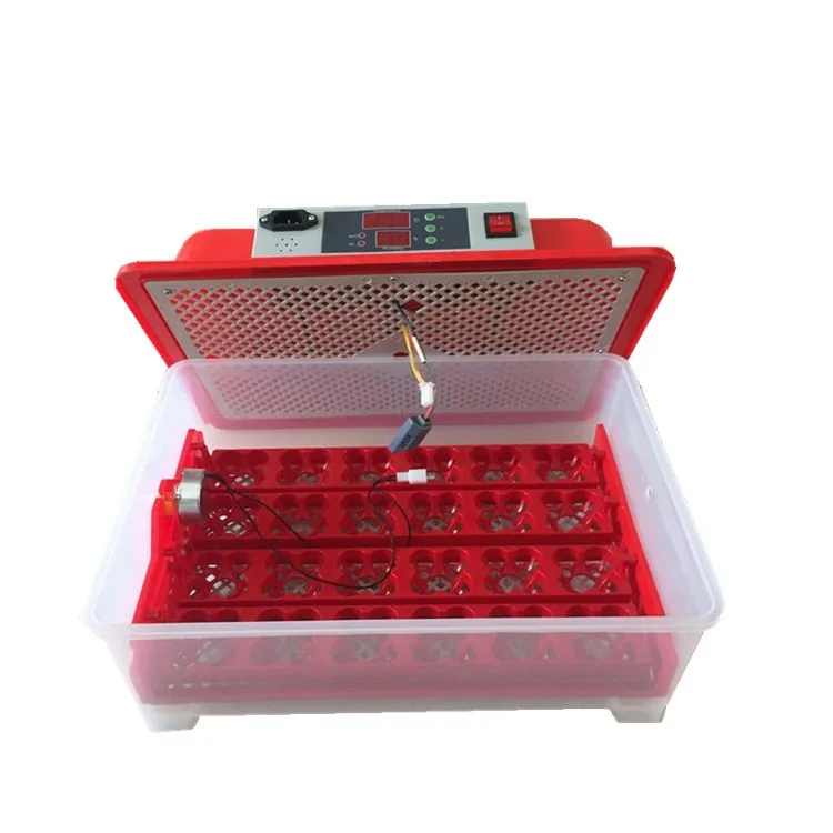 chicken incubator for sale chicken incubator for sale
