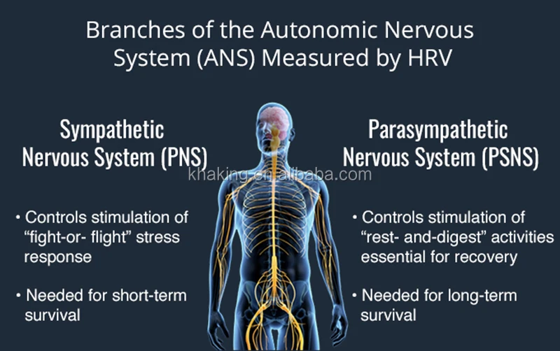 13 Monitor HRV.jpg