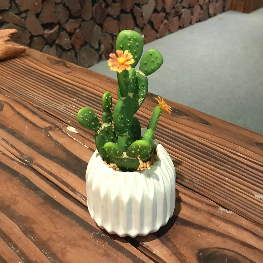 鉢植えの偽の家の装飾的な砂漠の屋内植物の花サボテン Buy 偽サボテン 花サボテン Cactu植物 Product On Alibaba Com