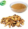 Wholesale High Quality Burdock Seed Extract