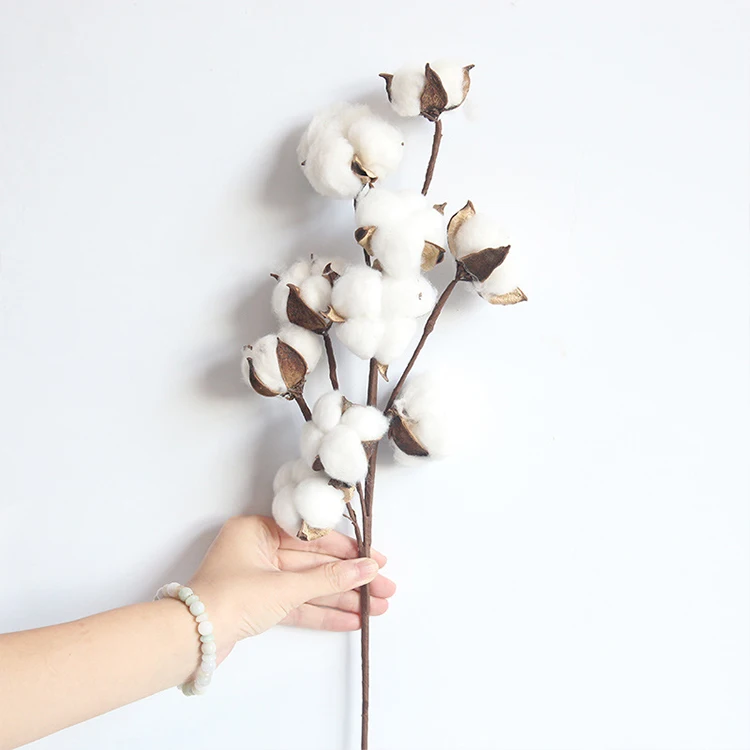 Hot Item 10 Head Naturally Dried Cotton Flower Artificial Plants Floral Branch 