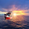 Competitive international Efficient intermodal container from china to uruguay cargo forwarder Cheap freight forwarding