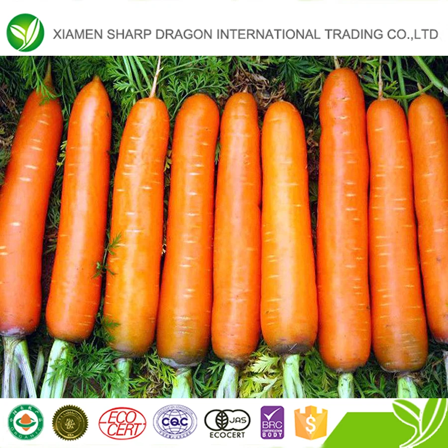 Hot Selling Bulk Packing Produce Frozeniqf Sliced Carrot Strips Buy