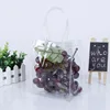 Eco-friendly cheap clear pvc plastic standing fruit wine gift bag with handle