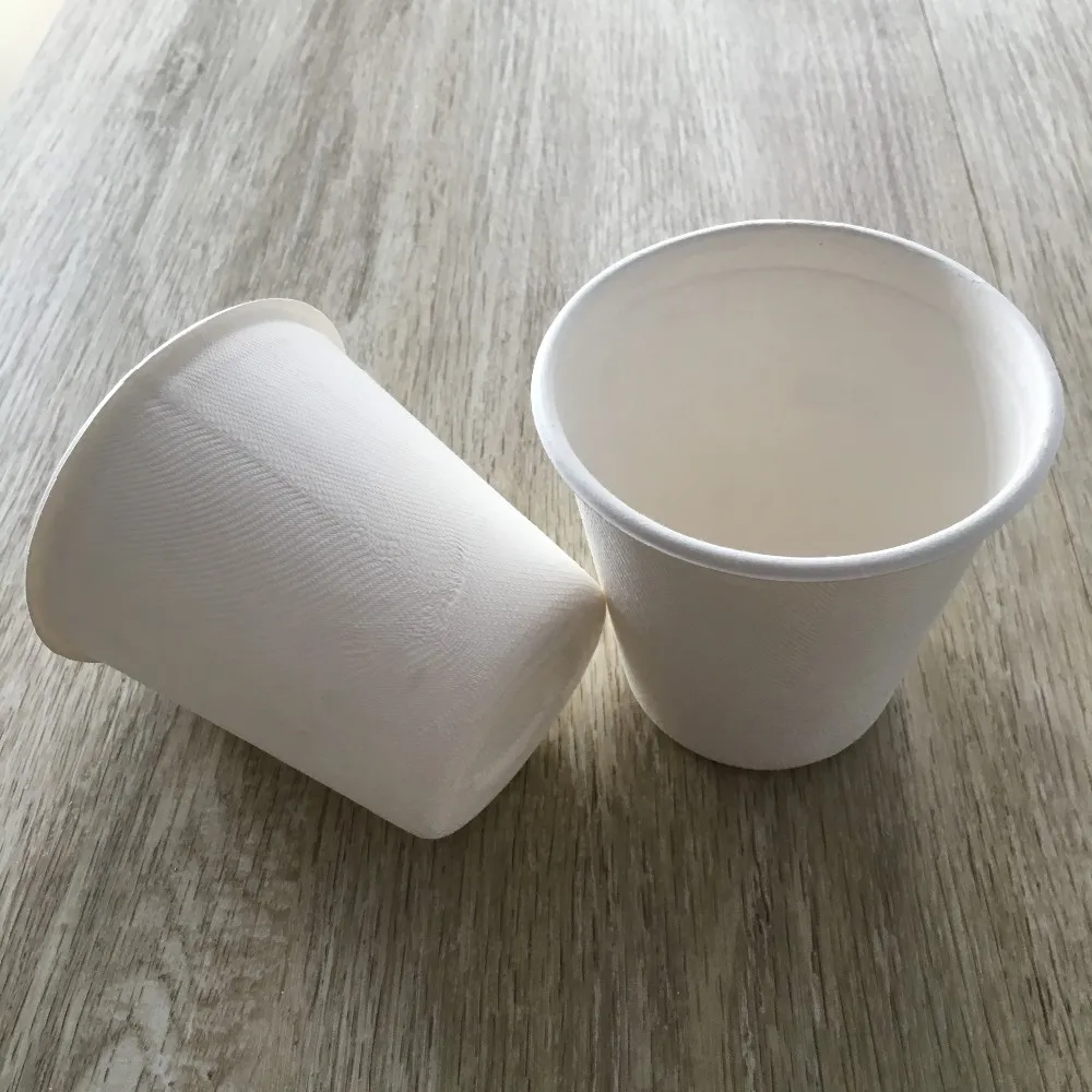 370毫升 13 盎司可生物降解纸杯