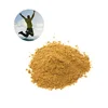 Factory Supply Kosher Certificate Organic Maca Powder Peru