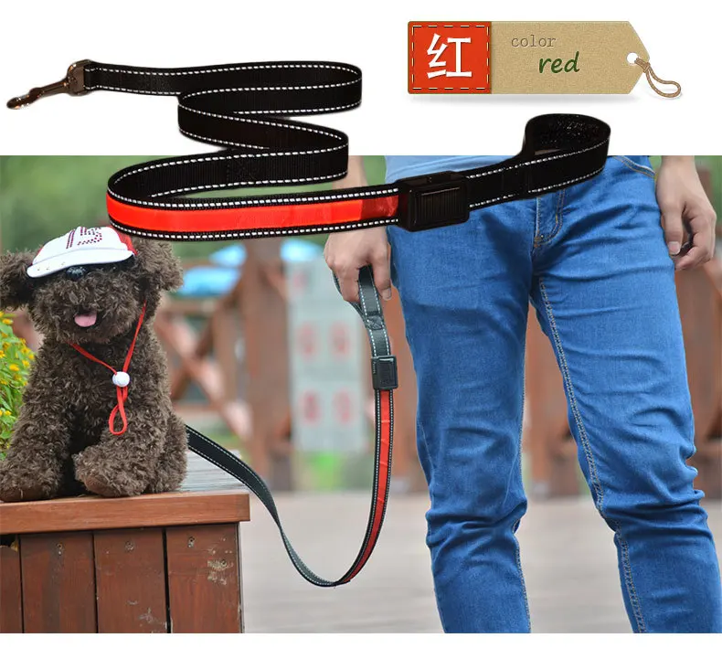 

light up glow de for pet safety fl on image waterproof solar USB rechargeable led Dog Leash, Blue, white, red, orange, yellow, green, pink, colorful