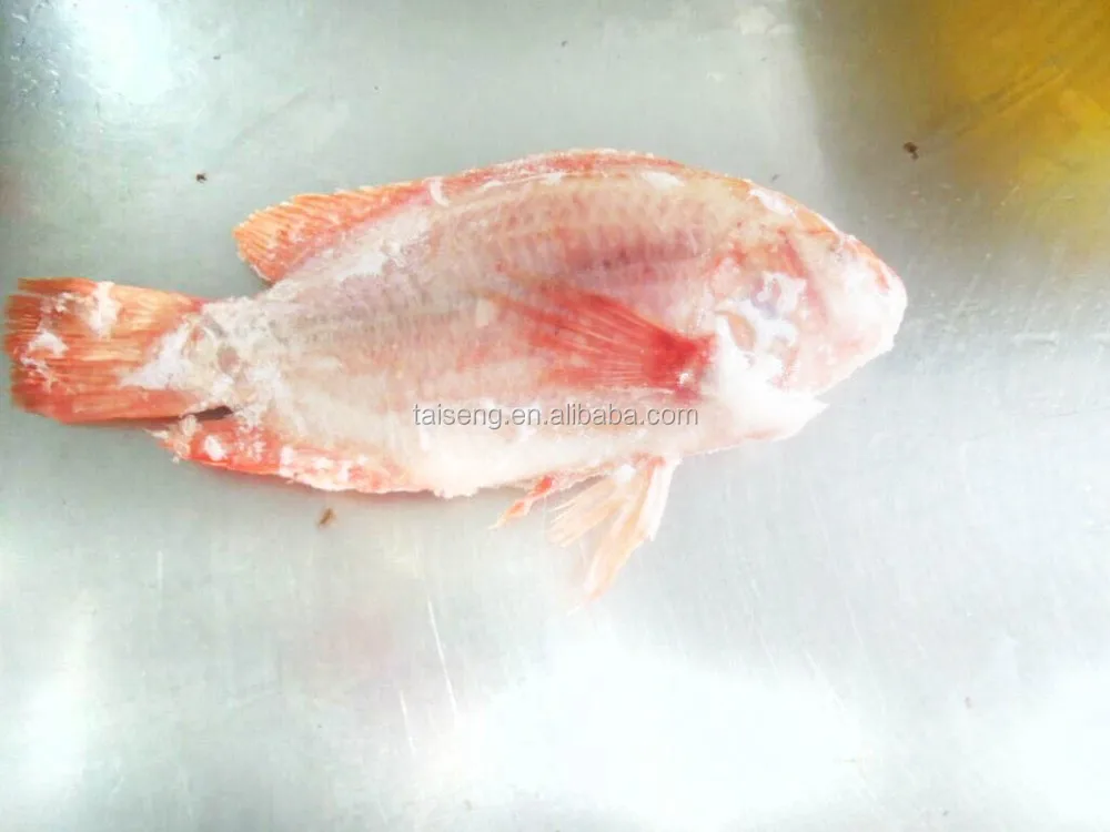 China Origin Frozen Whole Round Red Tilapia Fish Buy High Quality