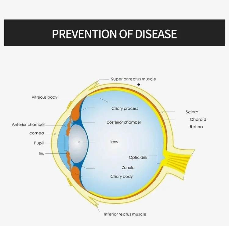 所有行业  医疗保健  医疗器械  临床分析仪器