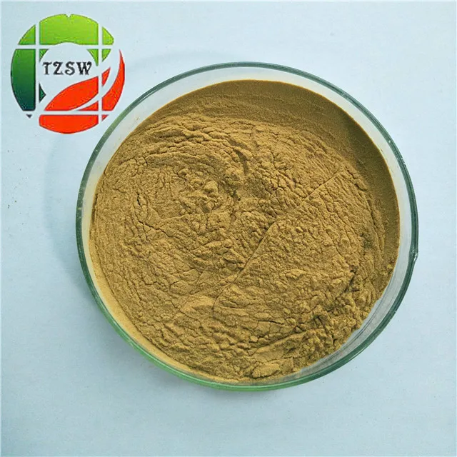 best price rumex crispus extract rumex shell extract