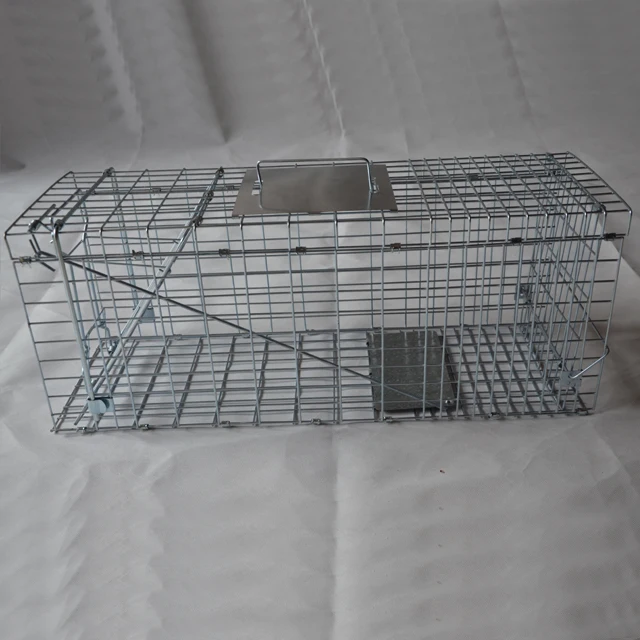 disposable rat cages