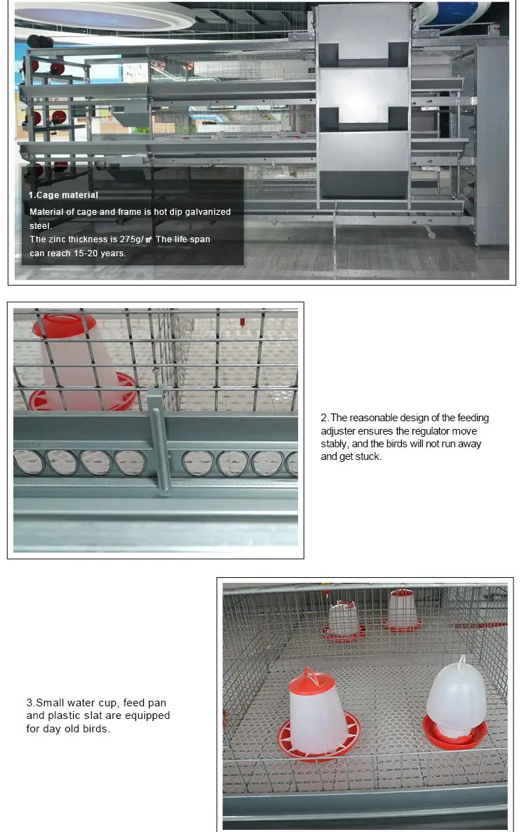 Design Anti Rust Galvanized A Type 1 Day Old Baby Layer Chicks