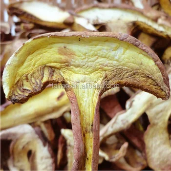 Dried Porcini Mushroom Slice For Sale Buy Fresh Porcini Mushroom Magic Mushrooms Dried Boletus Mushroom Product On Alibaba Com,Carnival Glass Bowl Patterns