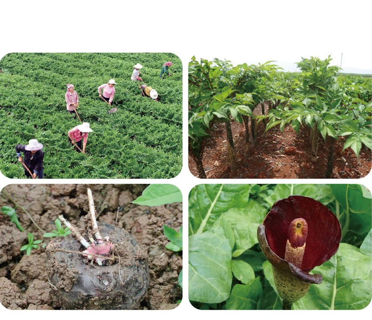 product pictures 3.jpg