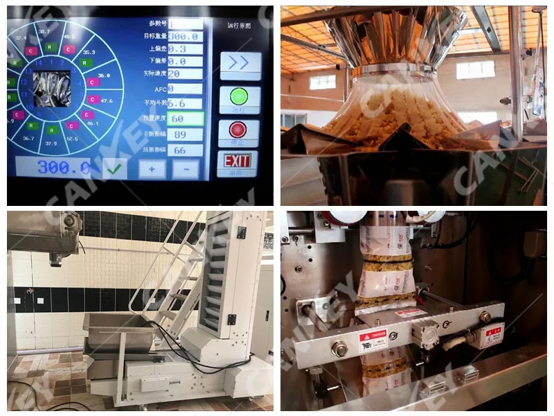 Details of Automatic Weighing And Packing Machine