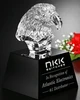 Hot Selling crystal eagle awards trophy