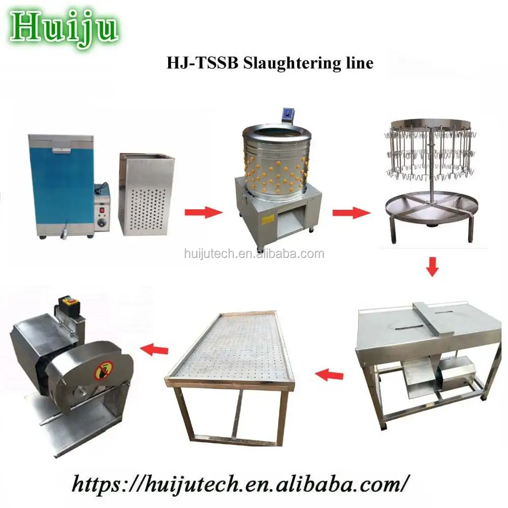 slaughtering line.jpg