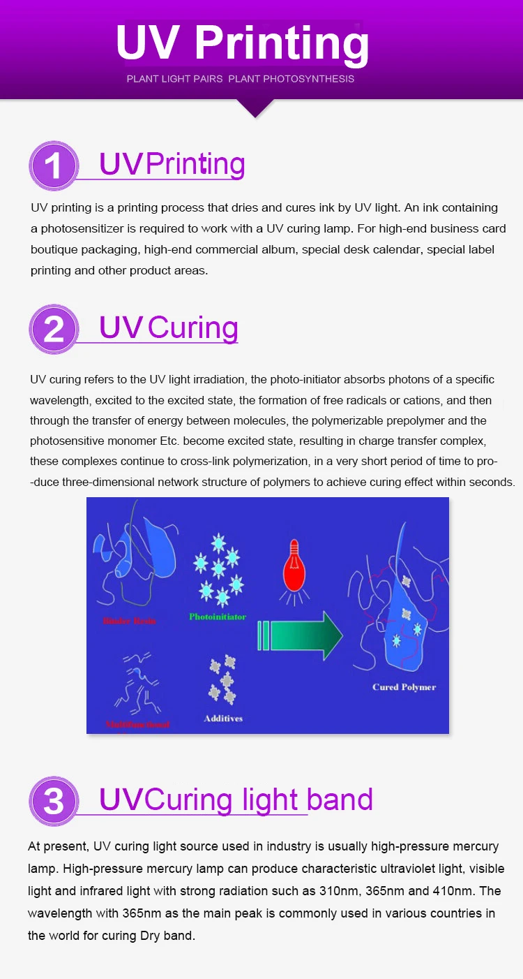 4088403020_1987930460