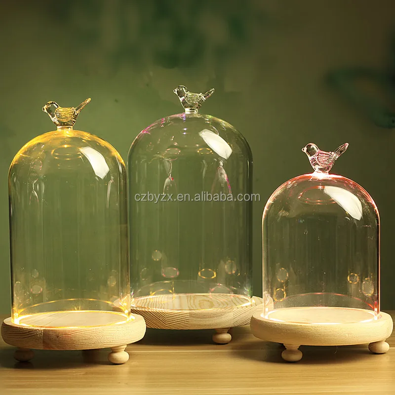 glass dome (24).jpg