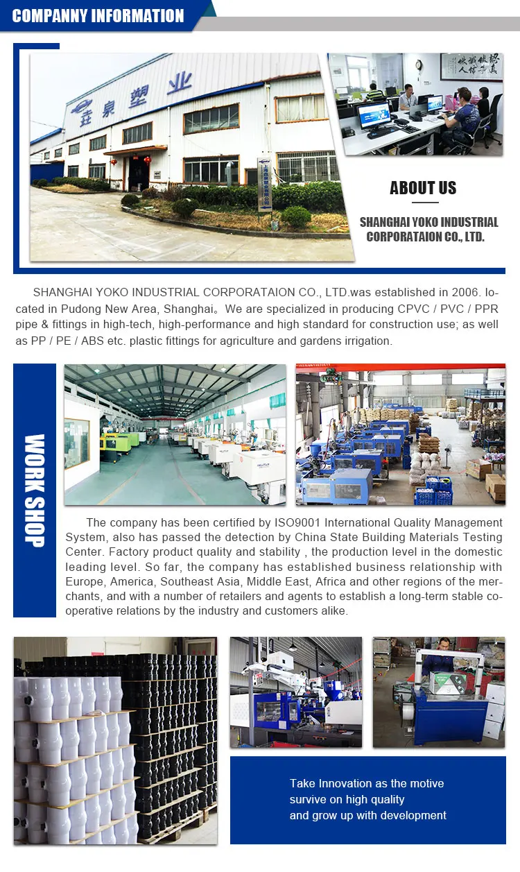 company information.jpg