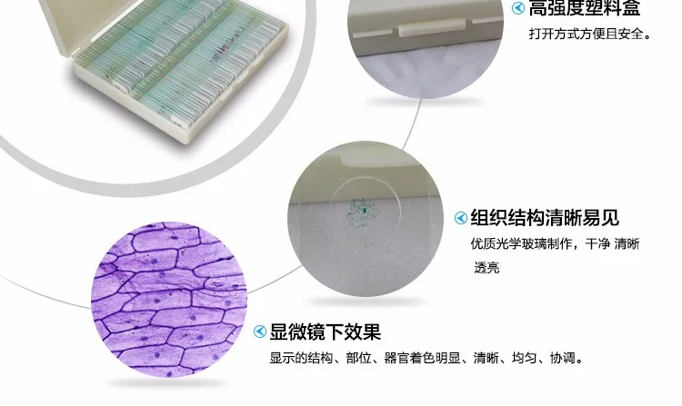 006 microscope slides specimen.jpg